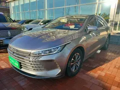 2023 BYD Destroyer 05 Champion DM-i PHEV 55km Luxury — фото 2
