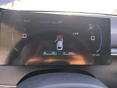 2023 BYD Destroyer 05 Champion DM-i PHEV 55km Luxury — фото 12
