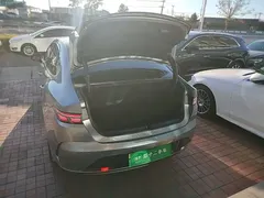 2023 BYD Destroyer 05 Champion DM-i PHEV 55km Luxury — фото 19