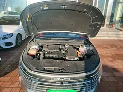 2023 BYD Destroyer 05 Champion DM-i PHEV 55km Luxury — фото 20