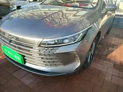 2023 BYD Destroyer 05 Champion DM-i PHEV 55km Luxury — фото 24