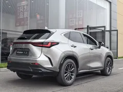 2023 Lexus NX 260 2WD — фото 14