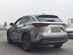 2023 Lexus NX 260 2WD — фото 16