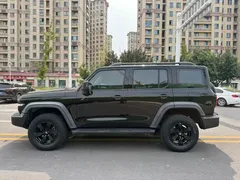 2021 Tank 300 Off-road 2.0T Conqueror, чёрный — фото 3
