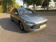 2023 BYD Qin PLUS Champion DM-i PHEV 55KM Leading — фото 2