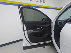 2025 BYD Sea Lion 05 DM-i PHEV 115km ADAS Premium, белый — фото 6
