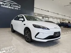 2025 BYD Seal 05 PHEV 120KM Smart Driving Flagship, белый — фото 3