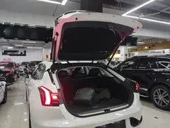 2022 Zeekr 001 Long Range Dual Motor WE EV, белый — фото 19