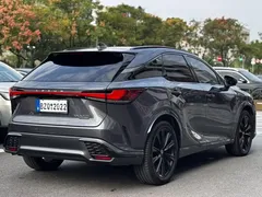 2023 Lexus RX 500h 4WD F SPORT Performance — фото 9