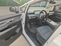 2025 Aion Plus 510, белый — фото 16