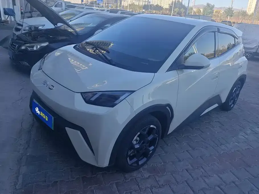 2025 BYD Seagull EV 405km Flying