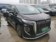 2024 Hongqi HQ9 2.0T PHEV 4WD Business — фото 4