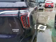 2024 Hongqi HQ9 2.0T PHEV 4WD Business — фото 8