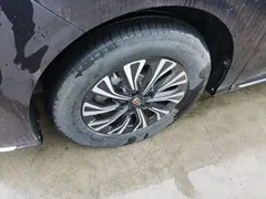 2024 Hongqi HQ9 2.0T PHEV 4WD Business — фото 23