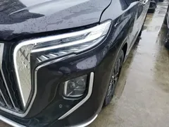 2024 Hongqi HQ9 2.0T PHEV 4WD Business — фото 24