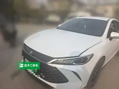 2025 BYD Qin PLUS DM-i PHEV Smart Driving 55km Leading, белый — фото 1