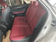 2020 Lexus NX 300h 2WD Fashion — фото 17