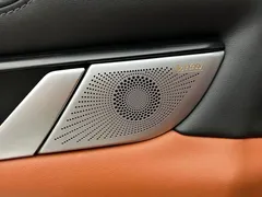 2022 Tank 500 3.0T High-end Custom 5-seat — фото 13