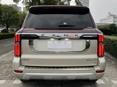 2022 Tank 500 3.0T High-end Custom 5-seat — фото 19