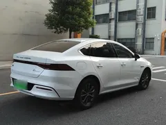 2024 BYD Qin PLUS Honor EV 510km Leading, белый — фото 4
