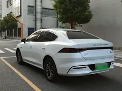 2024 BYD Qin PLUS Honor EV 510km Leading, белый — фото 6