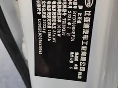 2024 BYD Qin PLUS Honor EV 510km Leading, белый — фото 10