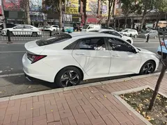 2022 Hyundai Elantra 1.5L CVT LUX Premium, белый — фото 4