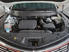 2023 Haval Shenshou 1.5T Zhixiang, белый — фото 20