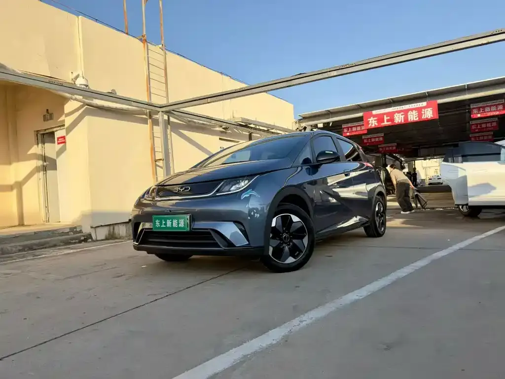 2024 BYD Dolphin Honor 420km Fashion