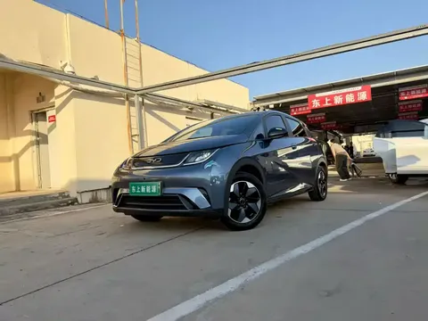 2024 BYD Dolphin Honor 420km Fashion