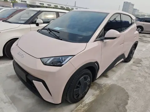 2024 BYD Seagull Honor 305km Vitality