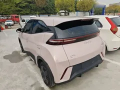 2024 BYD Seagull Honor 305km Vitality — фото 5