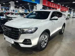 2021 Haval H6 1.5GDIT AT Guochao Champion, белый — фото 2
