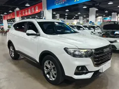 2021 Haval H6 1.5GDIT AT Guochao Champion, белый — фото 3