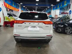 2021 Haval H6 1.5GDIT AT Guochao Champion, белый — фото 7