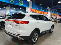 2021 Haval H6 1.5GDIT AT Guochao Champion, белый — фото 8