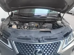 2020 Lexus RX 300 2WD Comfort — фото 10