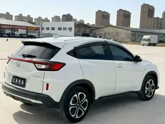 2021 Honda XR-V 1.5L CVT Classic, белый — фото 9