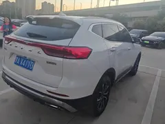 2023 Haval H6 1.5T AT Guochao Urban, белый — фото 3