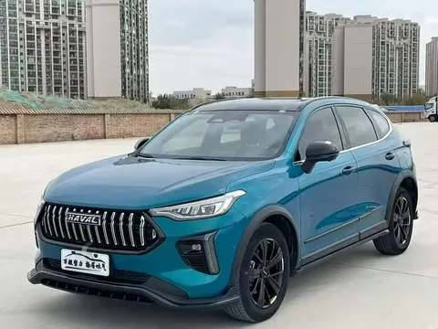 2021 Haval Chitu 1.5T Jiqing Platinum Rabbit