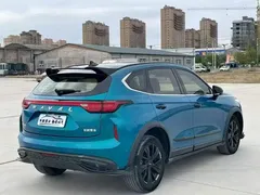 2021 Haval Chitu 1.5T Jiqing Platinum Rabbit, синий — фото 9