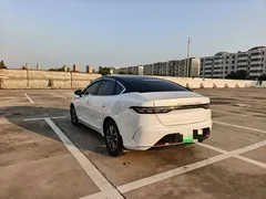 2024 BYD Destroyer 05 DM-i PHEV 55km Luxury, белый — фото 9