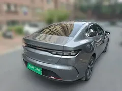 2024 BYD Destroyer 05 DM-i PHEV 120KM Luxury — фото 6