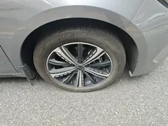 2024 BYD Destroyer 05 DM-i PHEV 120KM Luxury — фото 8