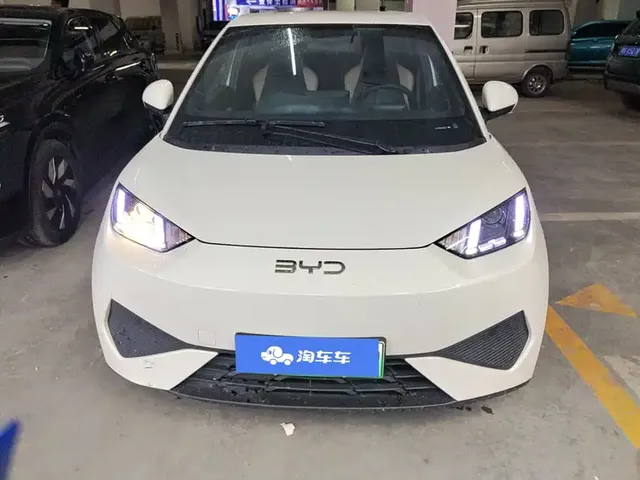 2025 BYD Seagull EV 305km