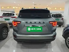 2023 Haval Dargo PLUS DHT-PHEV 105km — фото 3