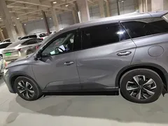 2025 BYD Sea Lion 05 DM-i 115KM Premium — фото 4