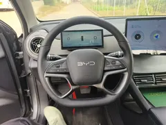 2025 BYD Sea Lion 05 DM-i 115KM Premium — фото 12