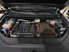 2025 BYD Sea Lion 05 DM-i 115KM Premium — фото 22