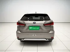 2020 Lexus RX 300 4WD Elegant — фото 5